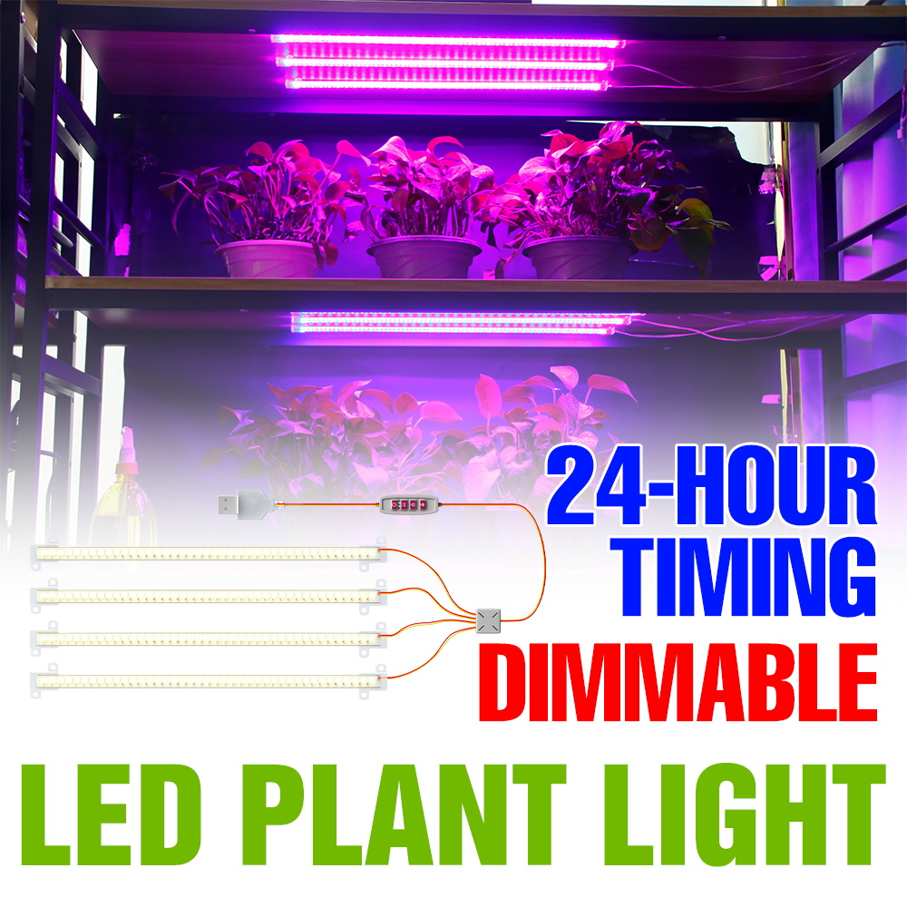 Echeveria Succulent - LED Kapalı Bitki Işık Çubuğu USB