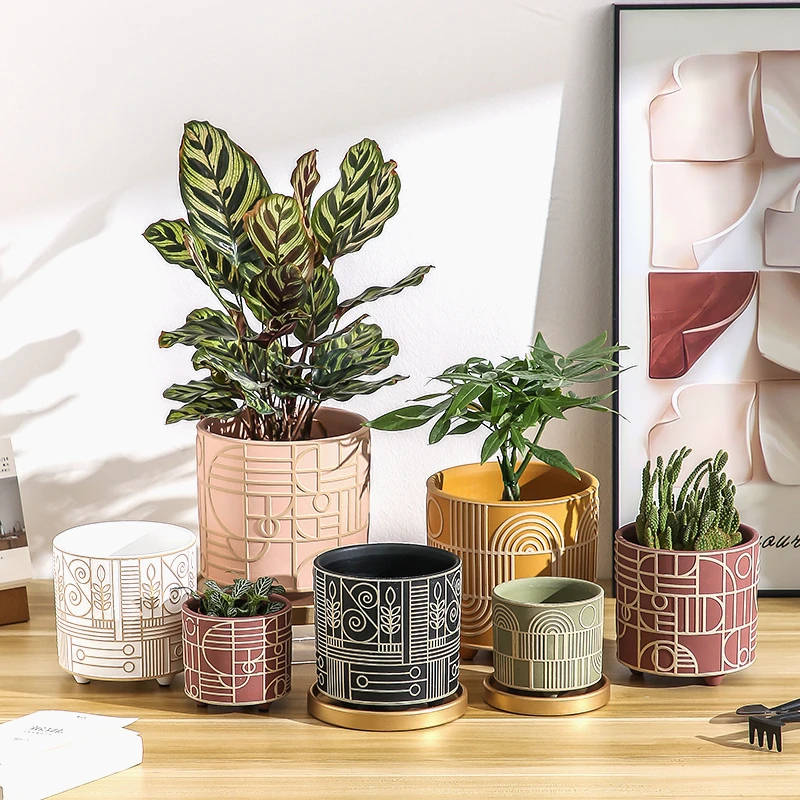 Aloe Vera Pot - Basit Silindirik Seramik Saksı Etli Bitki