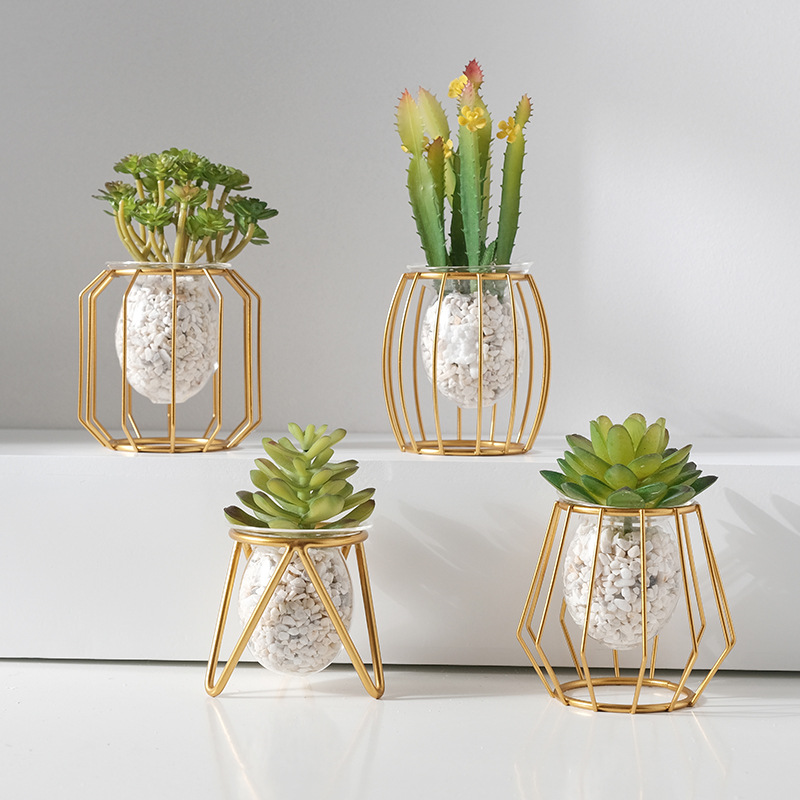 Aloe Vera Pot - Ev yaratıcı topraksız vazo süsler ofis