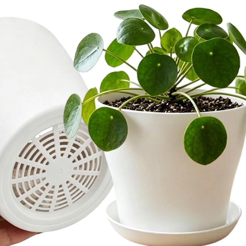 Aloe Vera Pot - Drenaj Delikli ve Uyumlu Tepsili Saksı