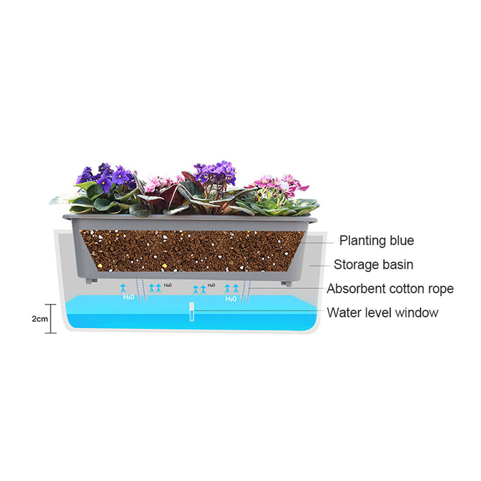Arkadaşlar Aileler Komşular iç - Aloe Vera Pot incelemesi ve fiyatı
