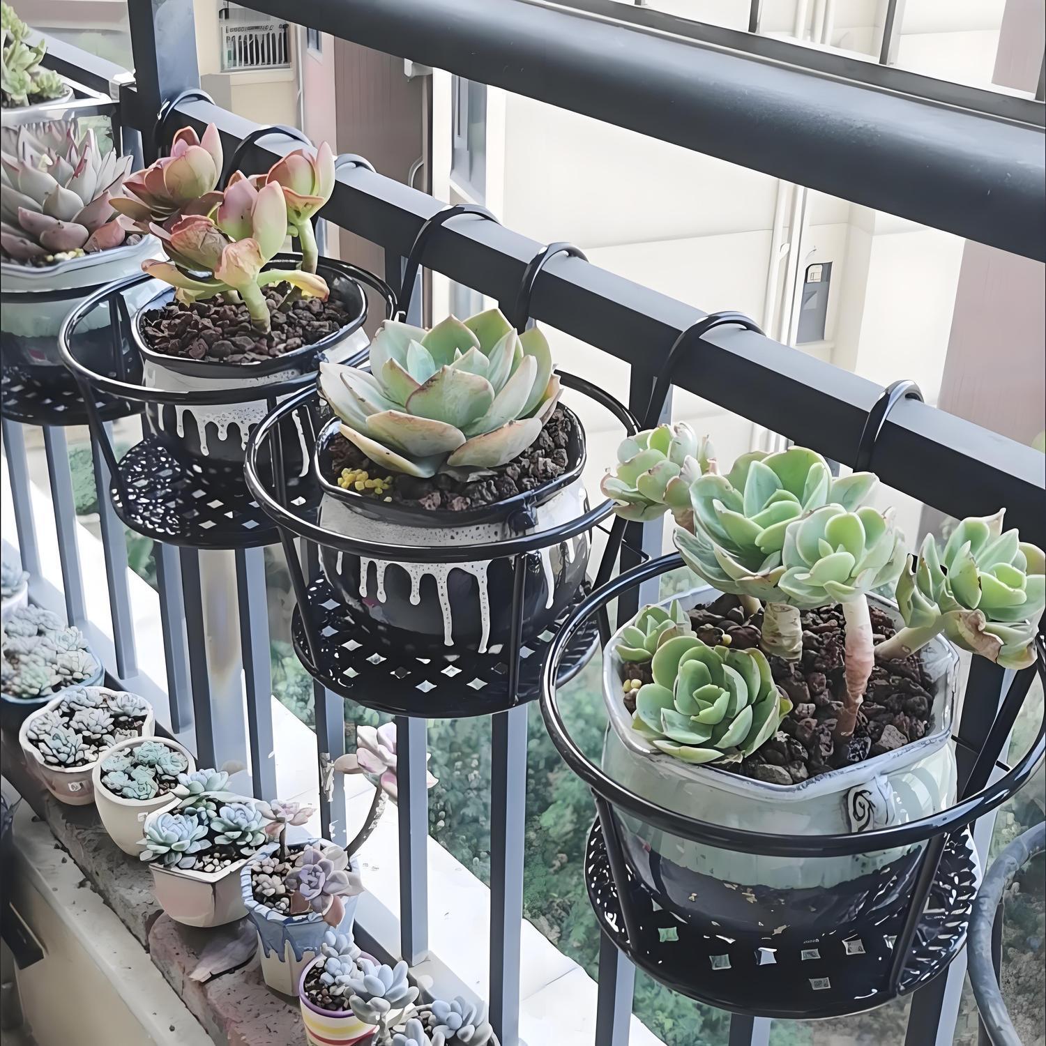 Ferforje Balkon Asma Çiçek Sep - Spider Plant Hanging incelemesi ve fiyatı
