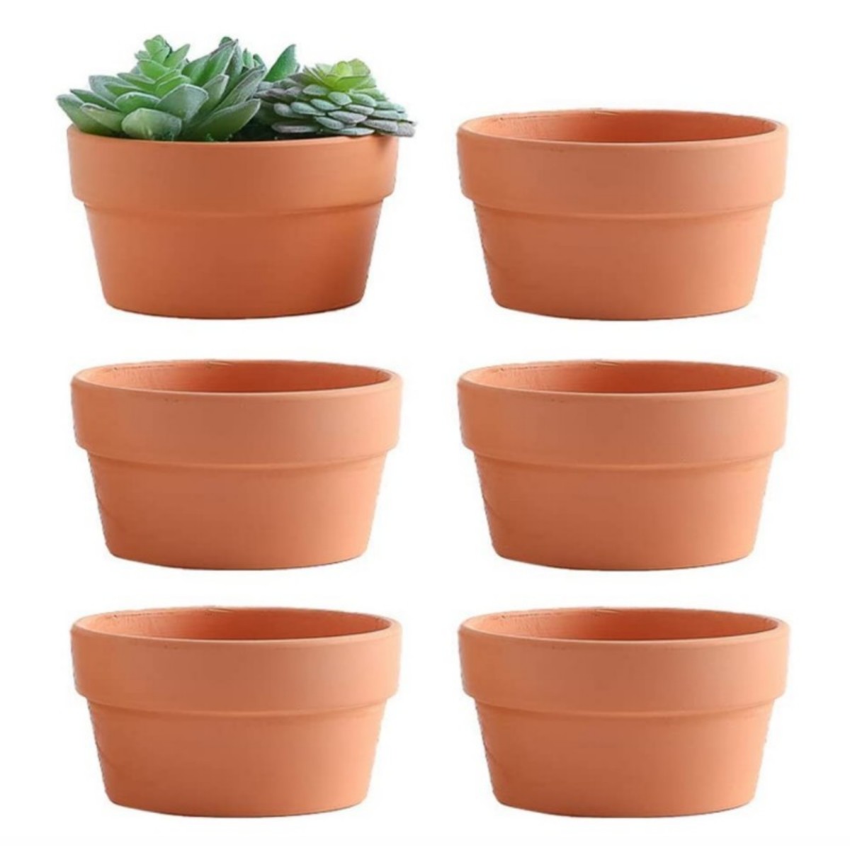 6 adet Terracotta Buld tencere - Aloe Vera Pot incelemesi ve fiyatı
