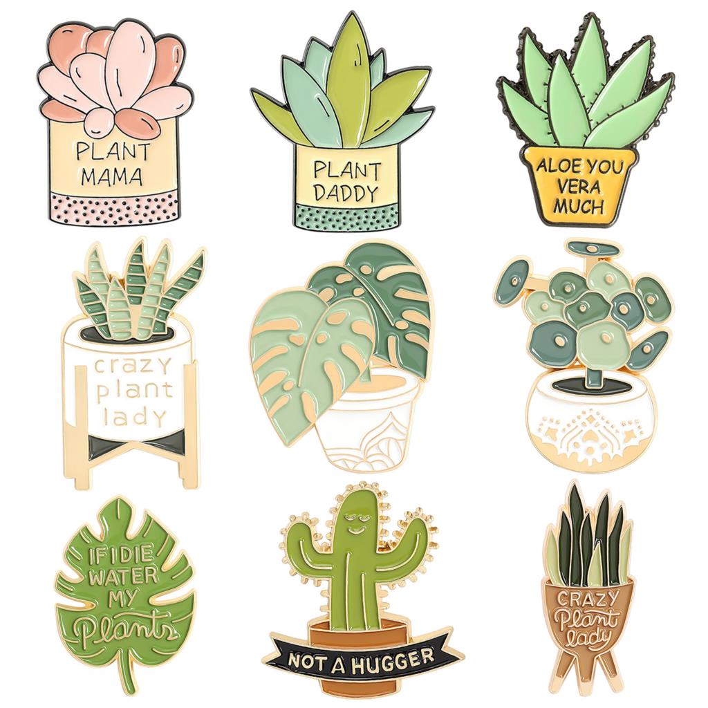 Saksı Bitki Broş Monstera Aloe - Aloe Vera Pot incelemesi ve fiyatı
