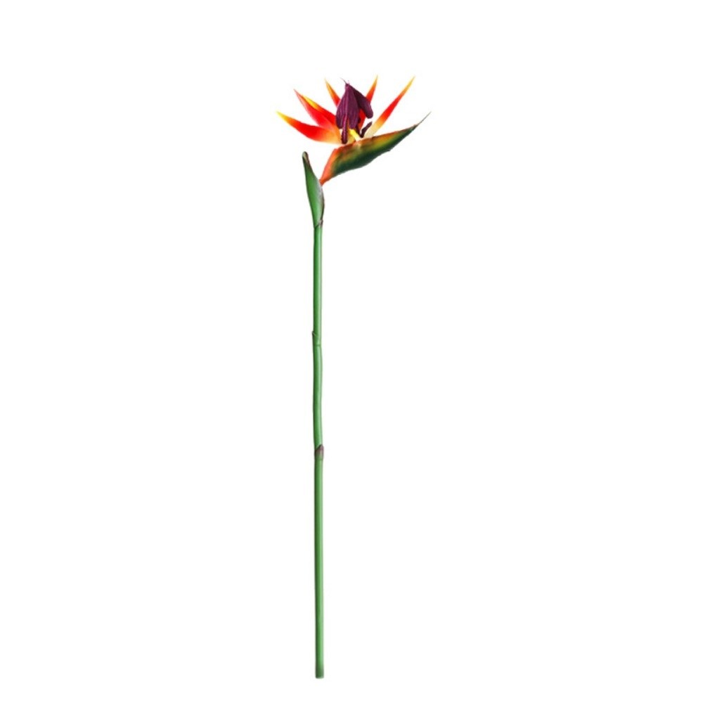 Uzun Saplı Yapay Cennet Kuşu O - Bird Paradise Strelitzia incelemesi ve fiyatı