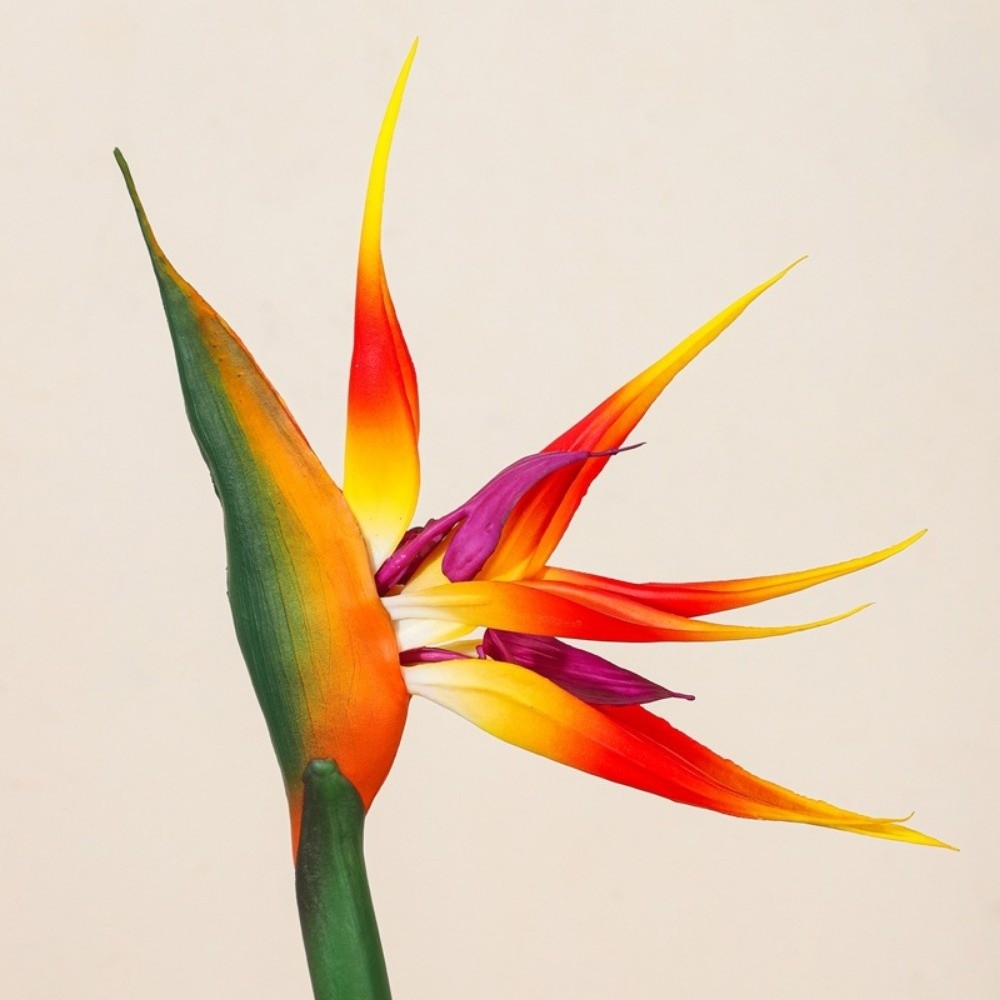 Uzun Saplı Yapay Cennet Kuşu O - Bird Paradise Strelitzia incelemesi ve fiyatı