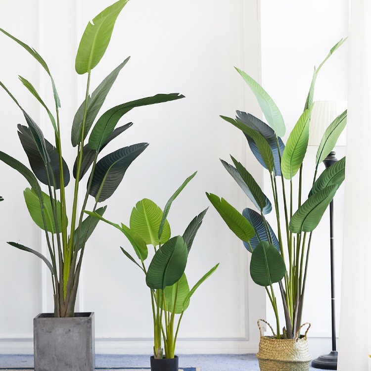 Yapay Plastik Saksıda ​ Cennet - Bird Paradise Strelitzia incelemesi ve fiyatı