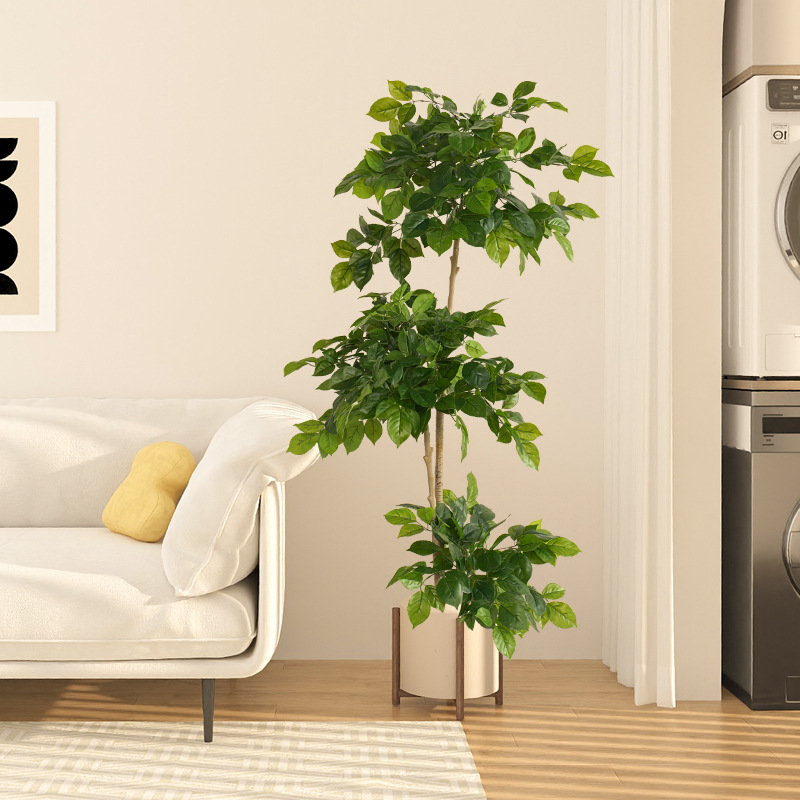 2-78in Büyük Sahte Bitkiler Ya - Dracaena Marginata incelemesi ve fiyatı