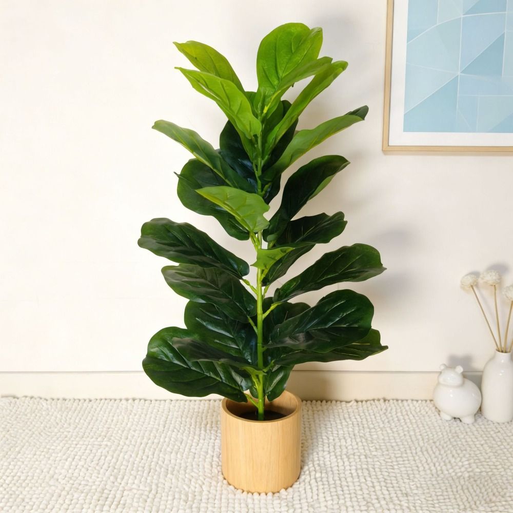 Yeşil Plastik Yapay Ficus Ağac - Dracaena Marginata incelemesi ve fiyatı