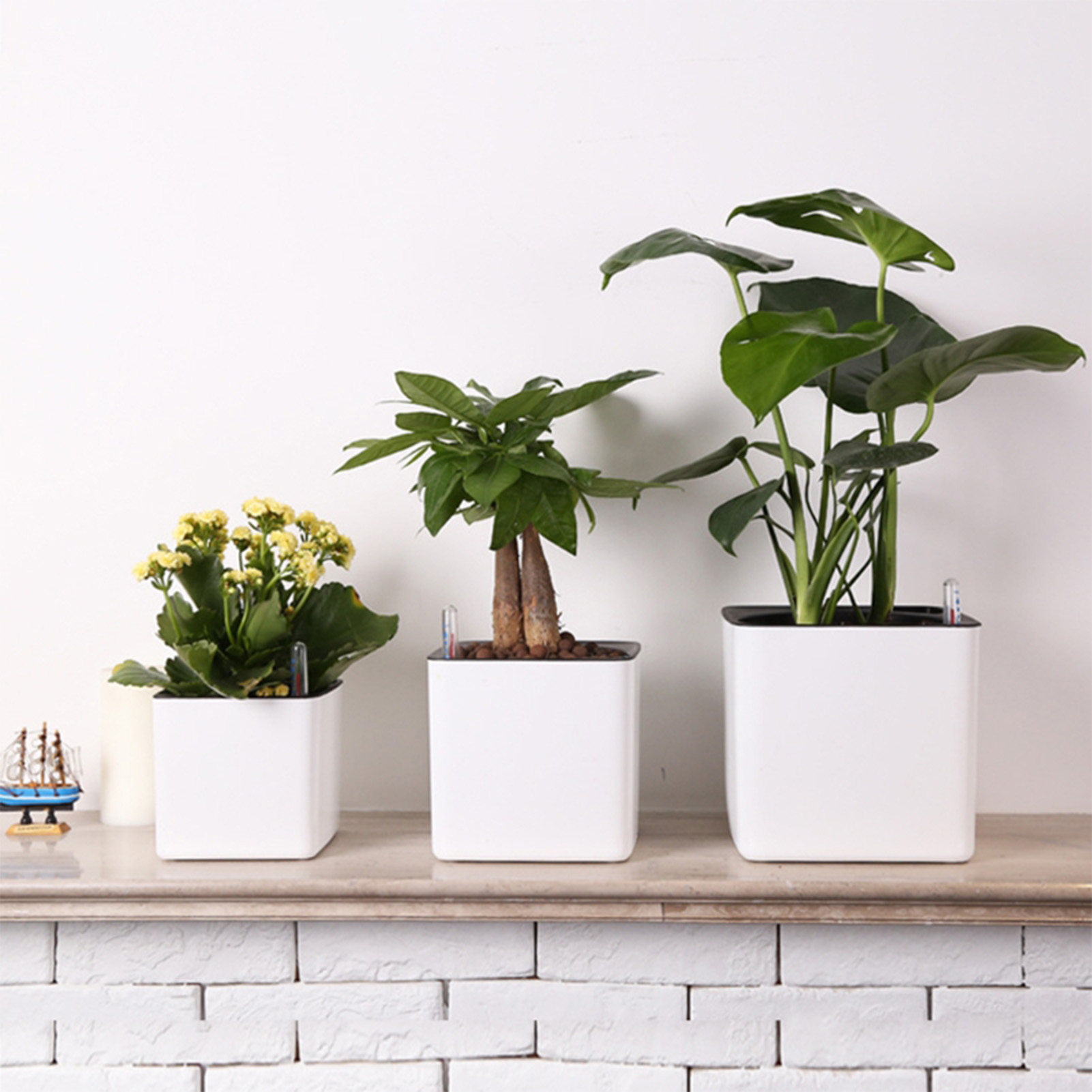 Kendi Kendine Sulayan Saksı Su - Aloe Vera Pot incelemesi ve fiyatı