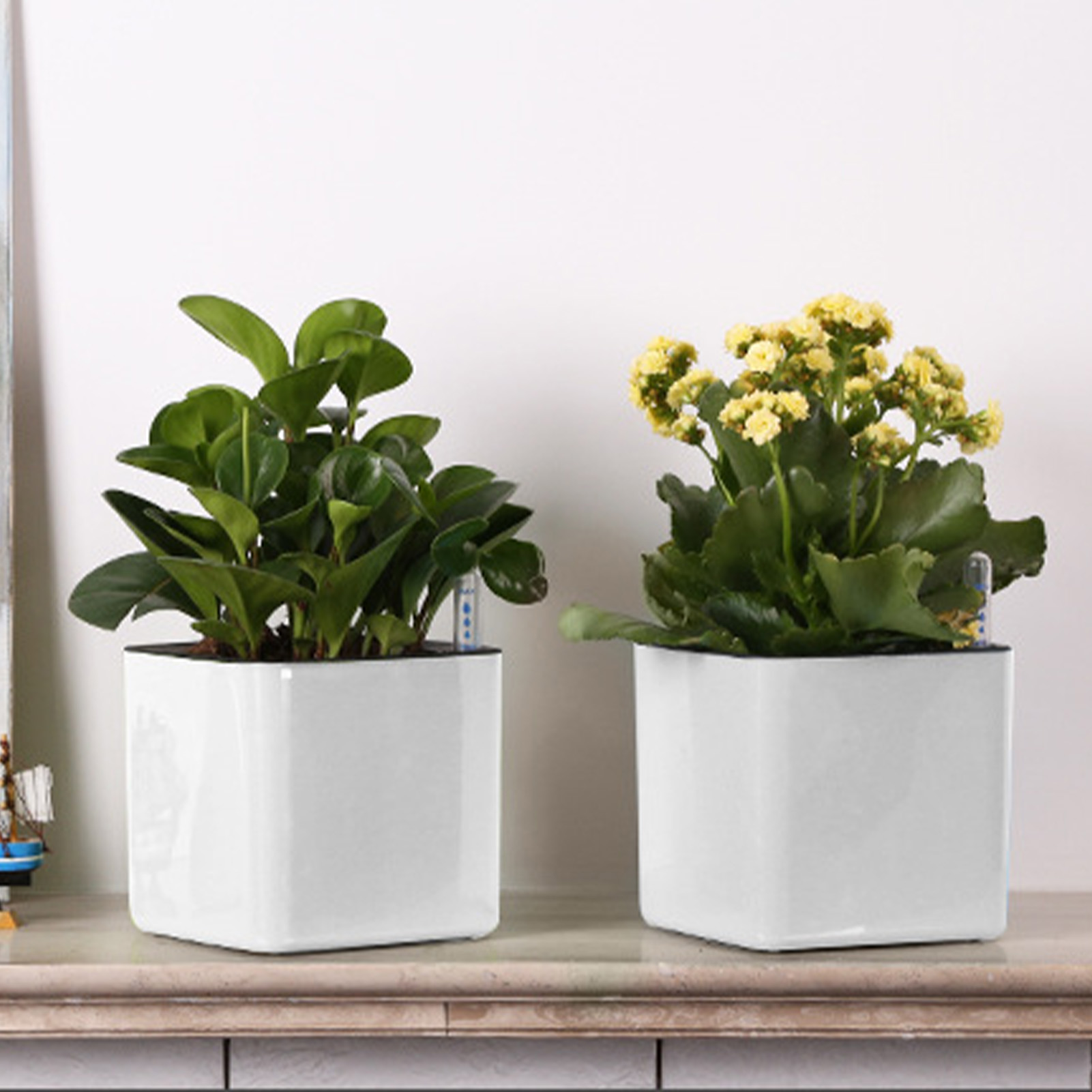 Kendi Kendine Sulayan Saksı Su - Aloe Vera Pot incelemesi ve fiyatı