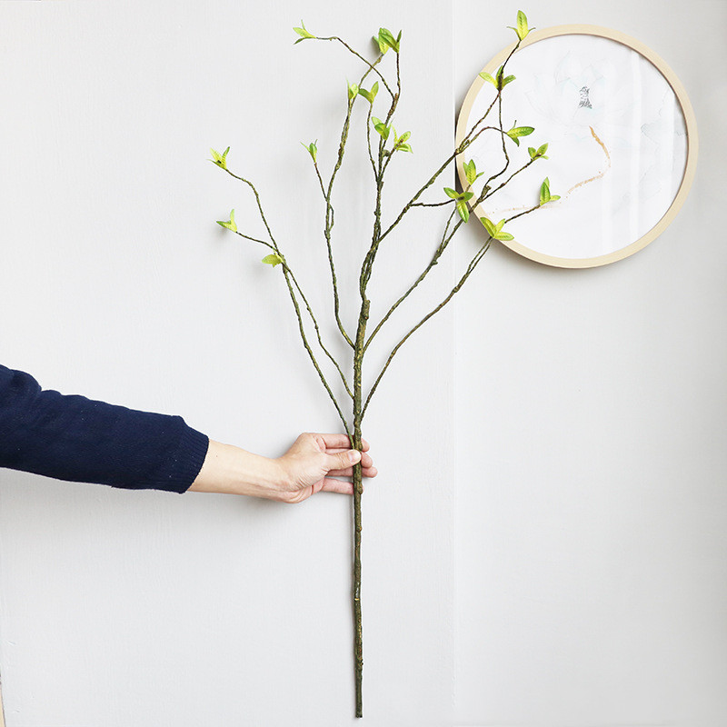 Yeni Yapay rattan asma asma si - Dracaena Marginata incelemesi ve fiyatı