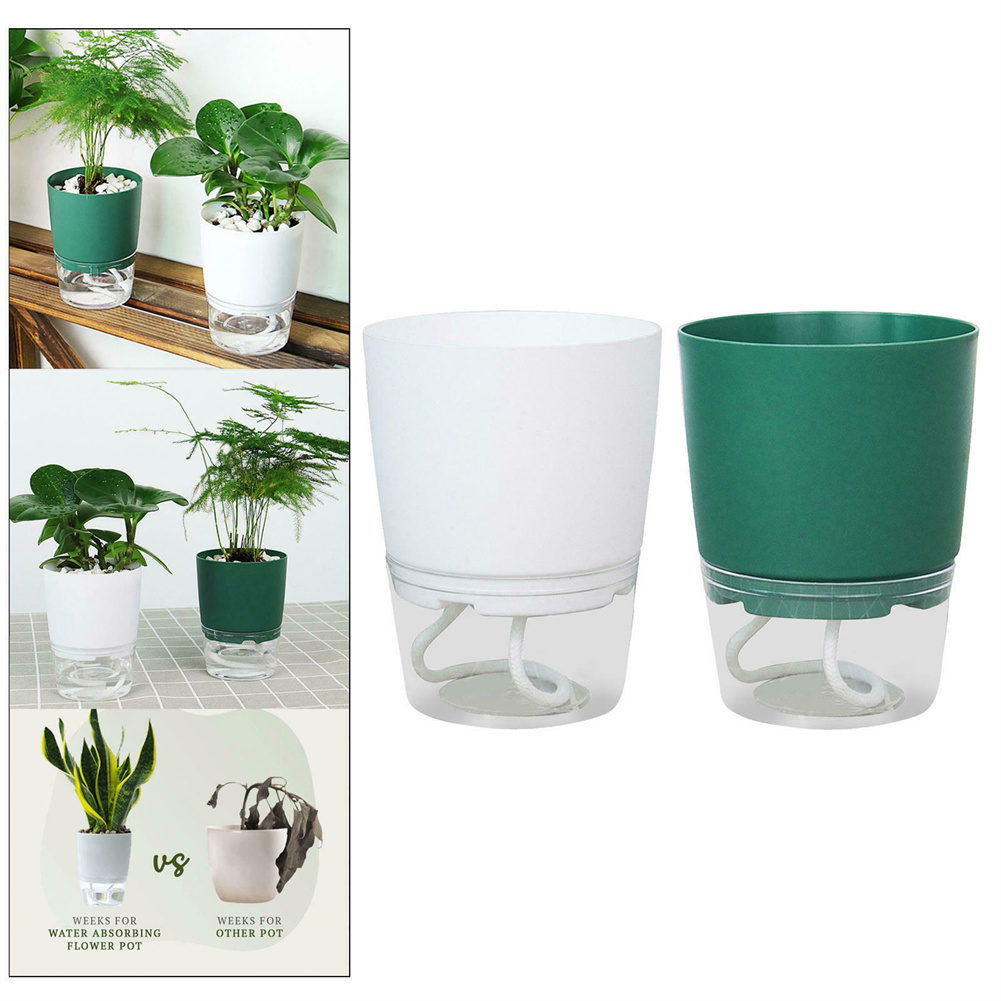 Tembel hidroponik saksı otomat - Aloe Vera Pot incelemesi ve fiyatı