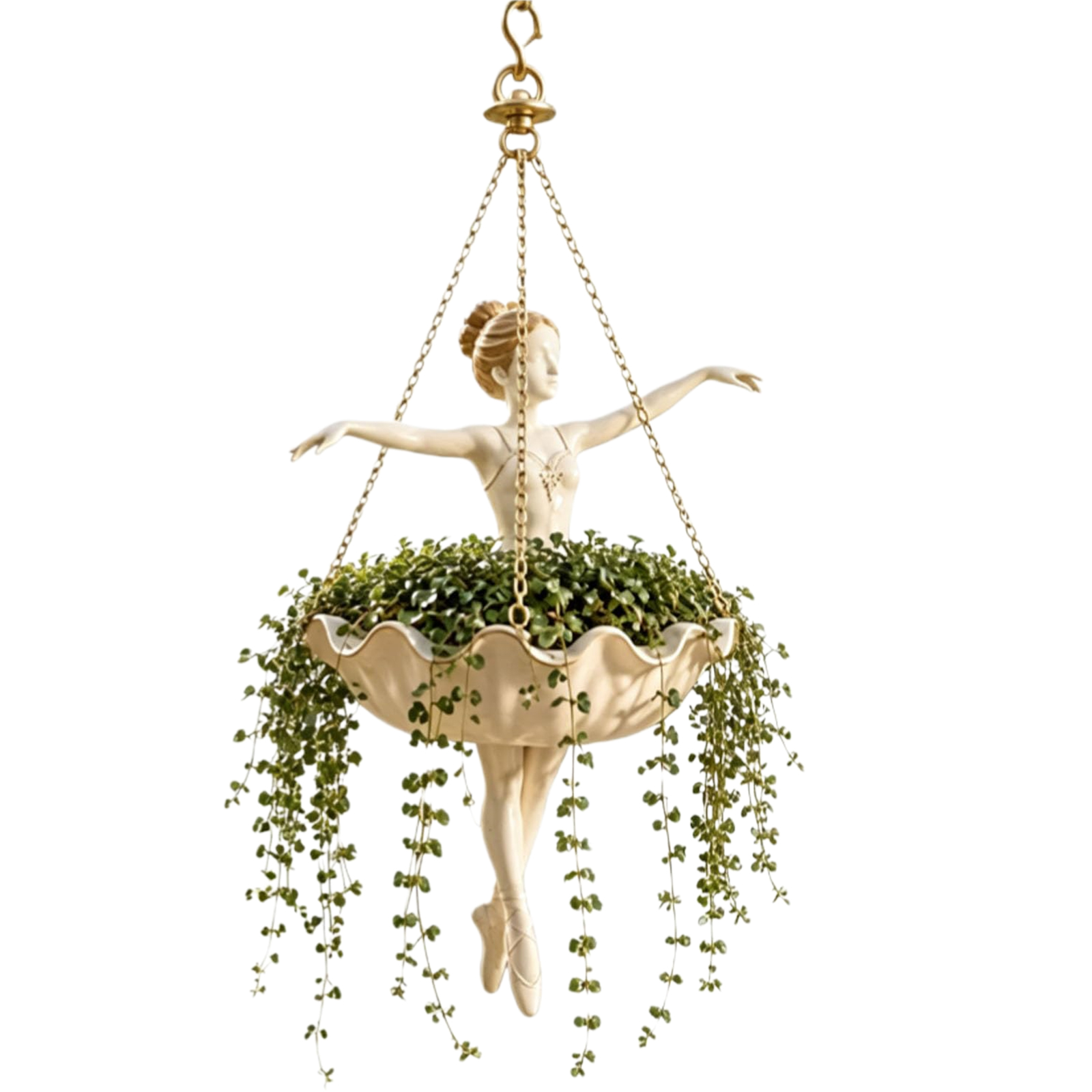 Bale Dansçısı Asılı Saksı Kola - Spider Plant Hanging incelemesi ve fiyatı