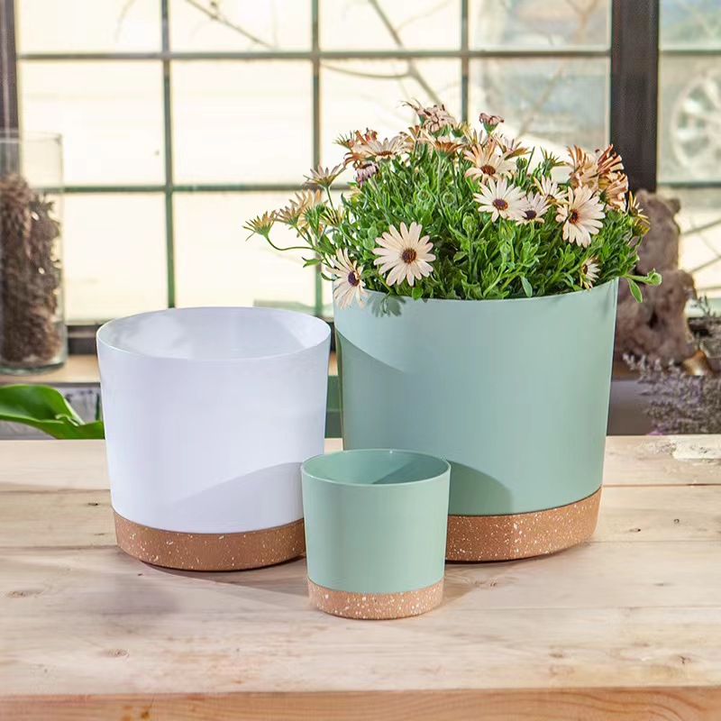 Bitki saksıları, iç ve dış mek - Aloe Vera Pot incelemesi ve fiyatı
