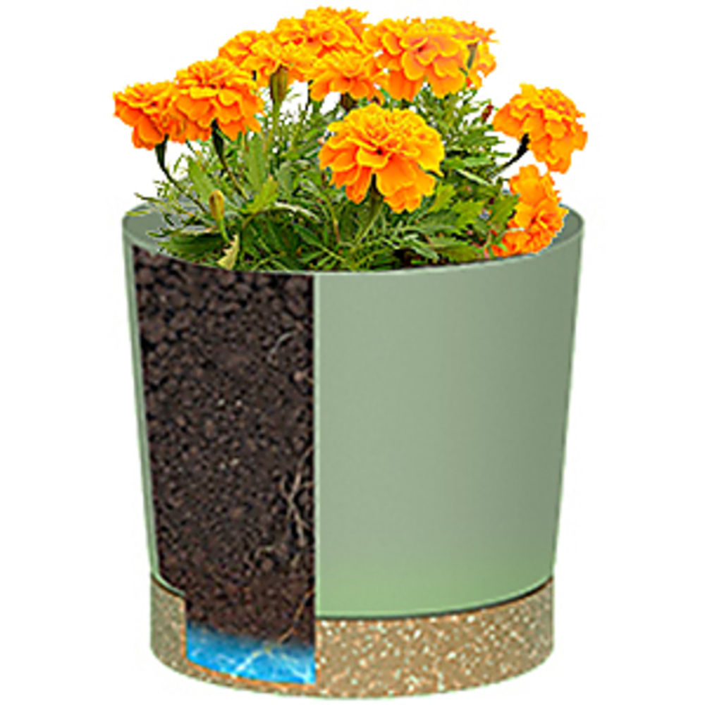 Bitki saksıları, iç ve dış mek - Aloe Vera Pot incelemesi ve fiyatı