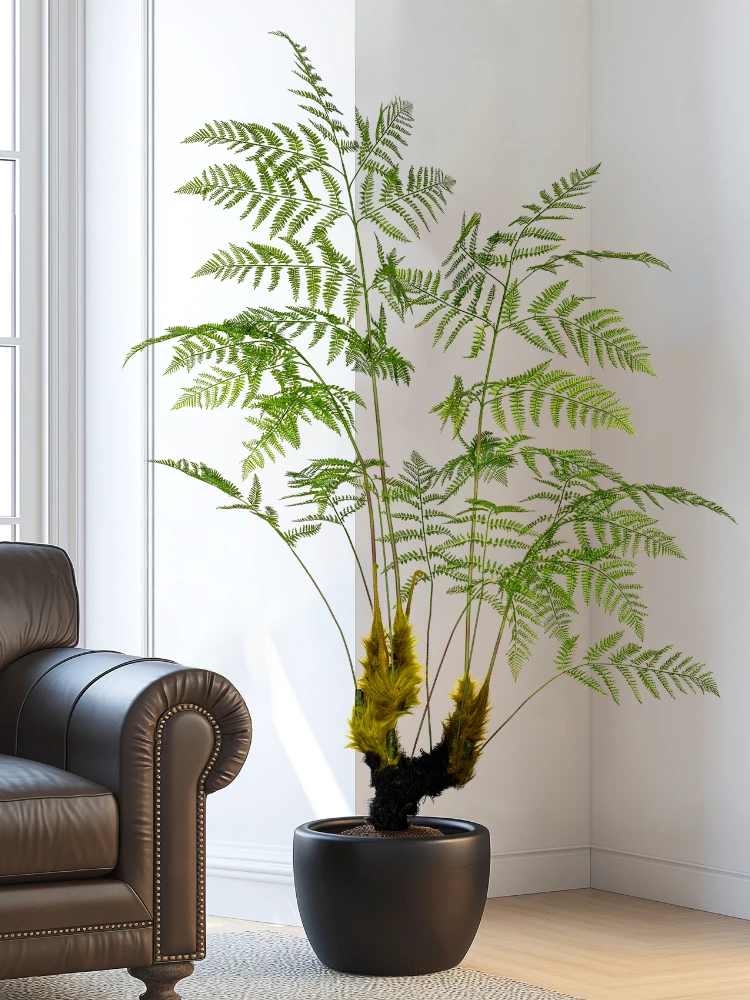 Büyük Simüle Altın Maymun Fern - Dracaena Marginata incelemesi ve fiyatı