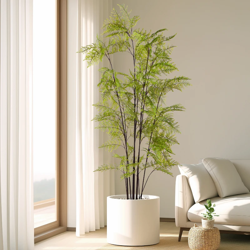 Büyük Simüle Altın Maymun Fern - Dracaena Marginata incelemesi ve fiyatı