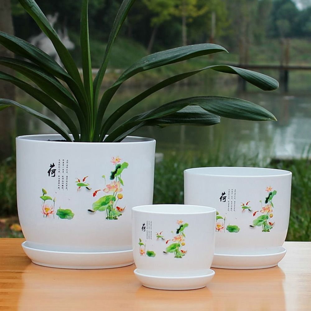 Ekstra Büyük Plastik Saksı Bey - Aloe Vera Pot incelemesi ve fiyatı