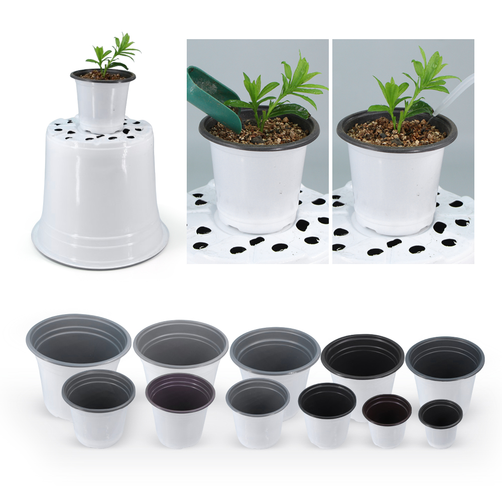 Bahçe Beyaz Plastik Saksı Yeti - Echeveria Succulent incelemesi ve fiyatı